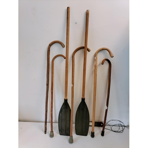 579 - Walking Sticks (5) plus Oars (2).