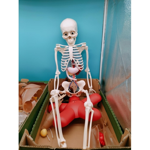 102 - 'Your Body Builds' Skeleton, Body Parts and Magazines.