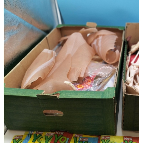 102 - 'Your Body Builds' Skeleton, Body Parts and Magazines.