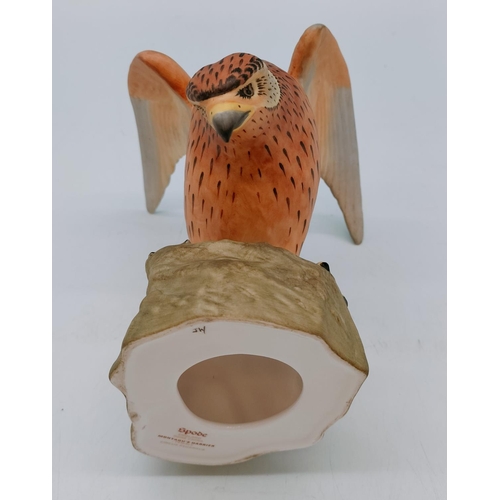 116 - Spode Bird Figure 'Montagu's Harrier Female'. 16cm High x 17cm.