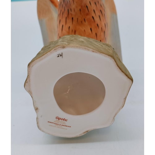 116 - Spode Bird Figure 'Montagu's Harrier Female'. 16cm High x 17cm.