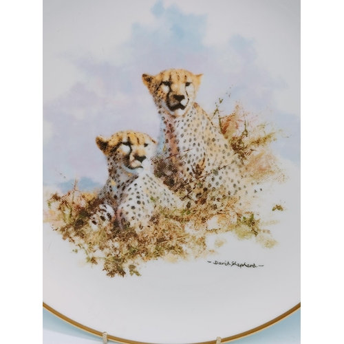 518 - Wedgwood David Shepard Wildlife Collection 8 Plate Series. 27cm Diameter.