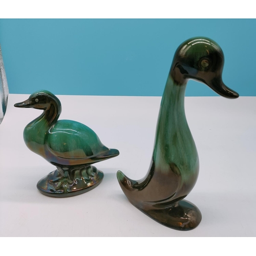 549 - Canadian Blue Mountain Duck Figures. Tallest being 29cm.