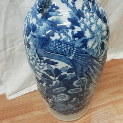 55 - Large 19th Century Blue and White Chinese Vase decorated with Ho Ho Birds in Foliage. 60cm Tall, 20c... 