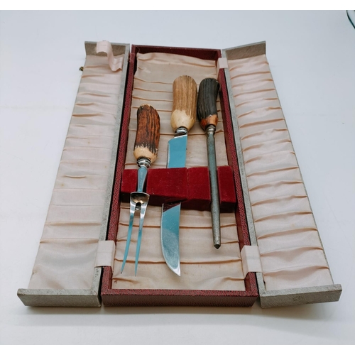 820 - Horn Handled Carving Set in Box.