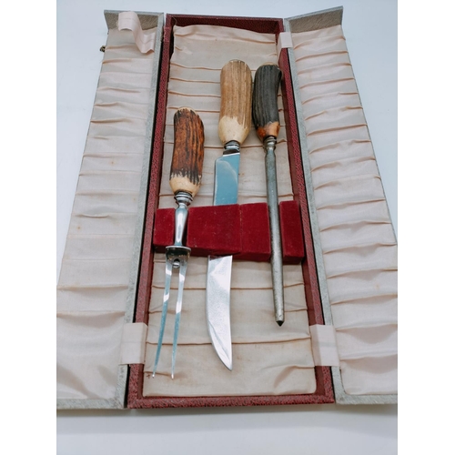 820 - Horn Handled Carving Set in Box.