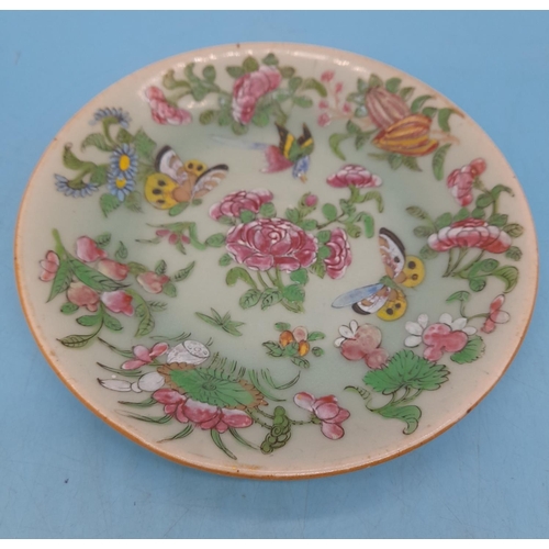 373 - Chinese 19th Century Celadon Famille Rose 22cm Plate decorated with Birds and Butterflies.