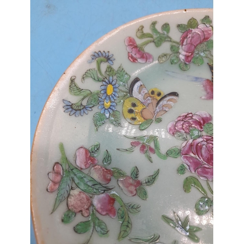 373 - Chinese 19th Century Celadon Famille Rose 22cm Plate decorated with Birds and Butterflies.