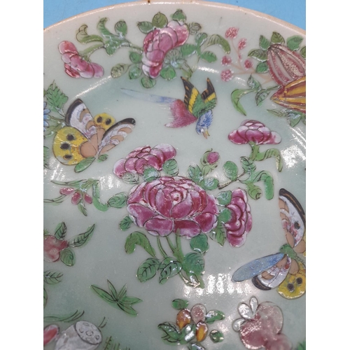 373 - Chinese 19th Century Celadon Famille Rose 22cm Plate decorated with Birds and Butterflies.