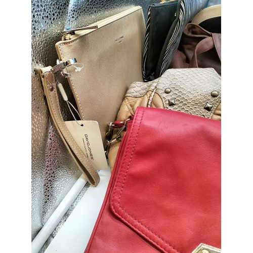 David jones clearance ted baker bags