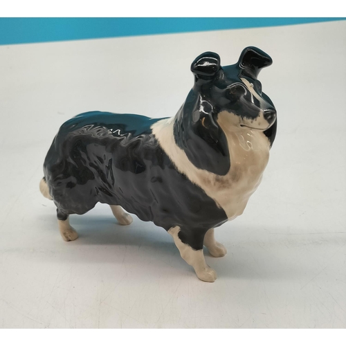 Lot 145       