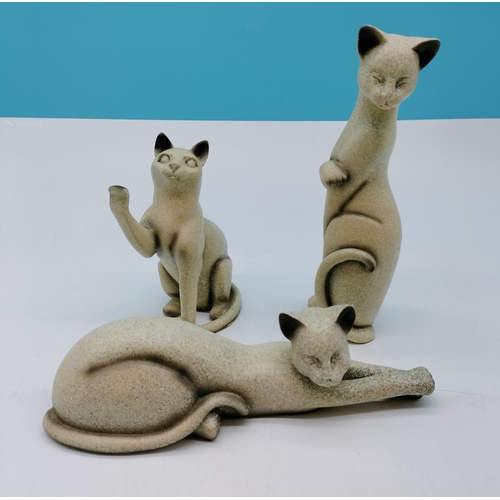 683 - Contemporary Style Cat Figures (3). 22cm Tall.