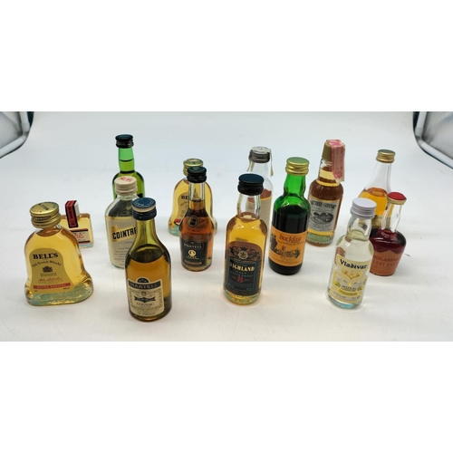 110A - Collection of Mixed Miniature Spirits to include Whisky, Brandy, Liqueurs, etc.