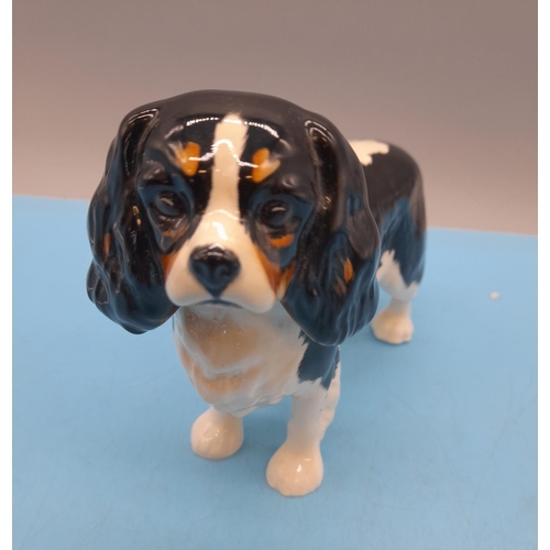 132 - Beswick Cavalier King Charles Spaniel 18cm (l) x 13cm (h)