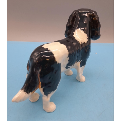 132 - Beswick Cavalier King Charles Spaniel 18cm (l) x 13cm (h)