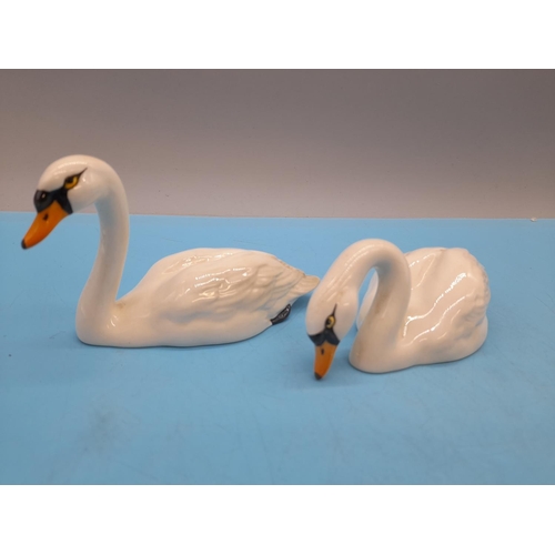 350 - Beswick Swan Family With Cygnets. Model No. 1684 & 1685