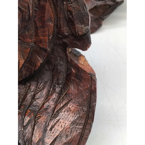 6 - 19th Century Black forest wall self beautifully carved bird of prey and leaf decoration below a semi... 