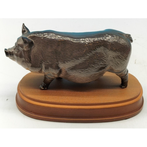 141 - Royal Doulton Figure of a Vietnamese Pot Bellied Pig on Plinth. 11cm High x 18cm.