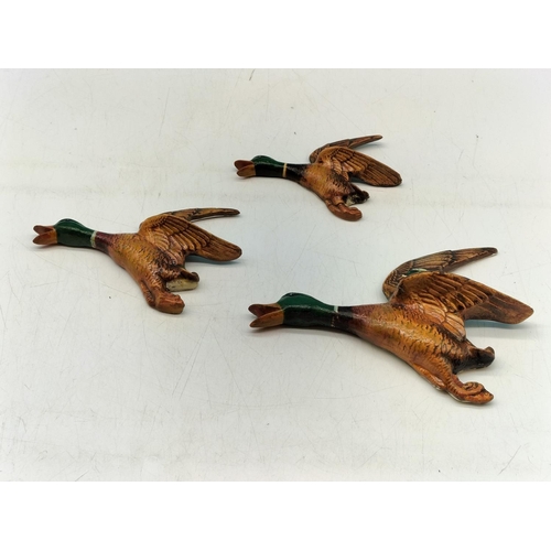 21 - Set of 3 Wall Hanging Mallard Duck Figures. Made in England 1958. Largest 16cm x 13cm.