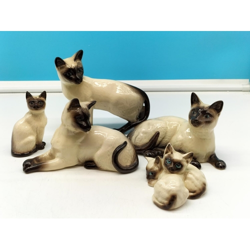 289 - Royal Doulton Siamese Cat Figures (5). Largest being 16cm High x 18cm. Seconds Quality. Twin Kitten ... 
