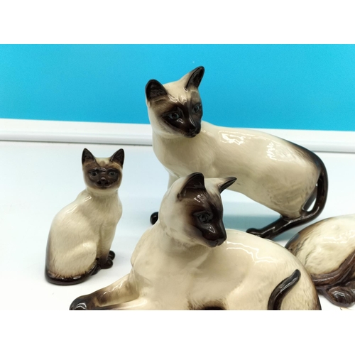 289 - Royal Doulton Siamese Cat Figures (5). Largest being 16cm High x 18cm. Seconds Quality. Twin Kitten ... 