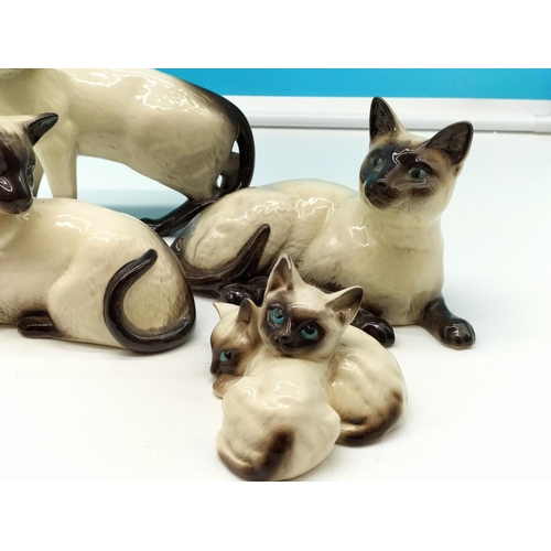 289 - Royal Doulton Siamese Cat Figures (5). Largest being 16cm High x 18cm. Seconds Quality. Twin Kitten ... 