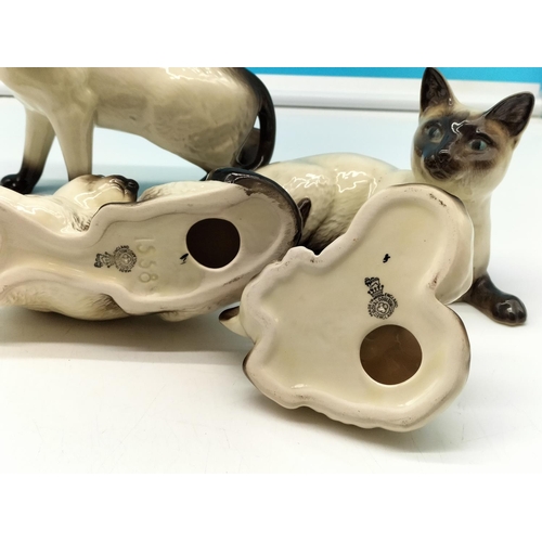 289 - Royal Doulton Siamese Cat Figures (5). Largest being 16cm High x 18cm. Seconds Quality. Twin Kitten ... 