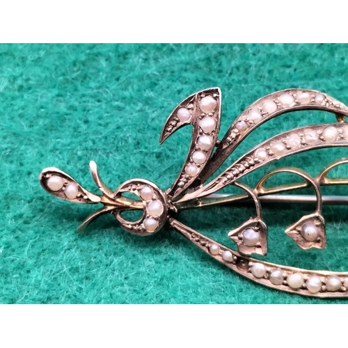 300 - 9ct Gold and Seed Pearl Leaf Design Brooch. c1900