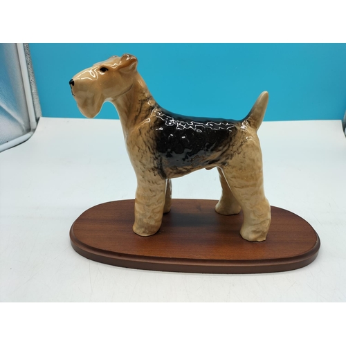 20 - Airedale Terrier Dog Figure on Plinth. 20cm High, 28cm x 13cm.