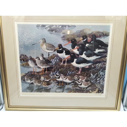 221 - 2 x Framed and Signed Prints by C.F Tunnicliffe. A Limited Edition 304/500 Print 'Shoreland Waders' ... 