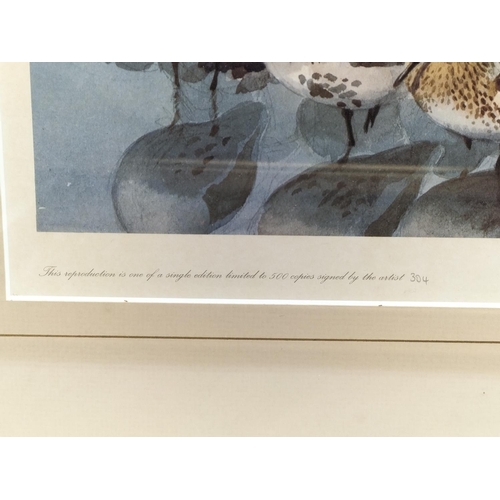221 - 2 x Framed and Signed Prints by C.F Tunnicliffe. A Limited Edition 304/500 Print 'Shoreland Waders' ... 