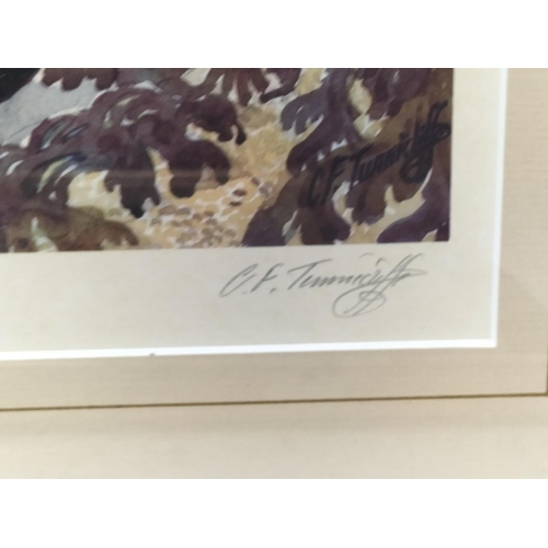 221 - 2 x Framed and Signed Prints by C.F Tunnicliffe. A Limited Edition 304/500 Print 'Shoreland Waders' ... 