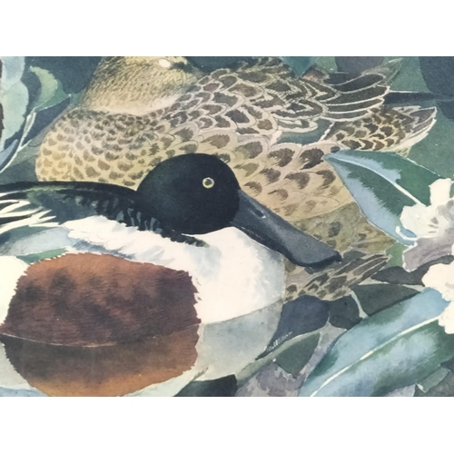 221 - 2 x Framed and Signed Prints by C.F Tunnicliffe. A Limited Edition 304/500 Print 'Shoreland Waders' ... 