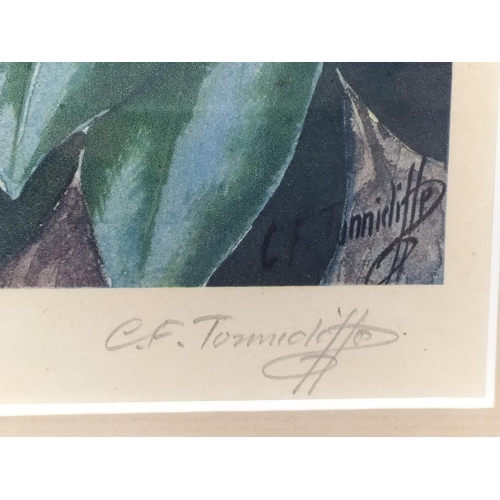 221 - 2 x Framed and Signed Prints by C.F Tunnicliffe. A Limited Edition 304/500 Print 'Shoreland Waders' ... 