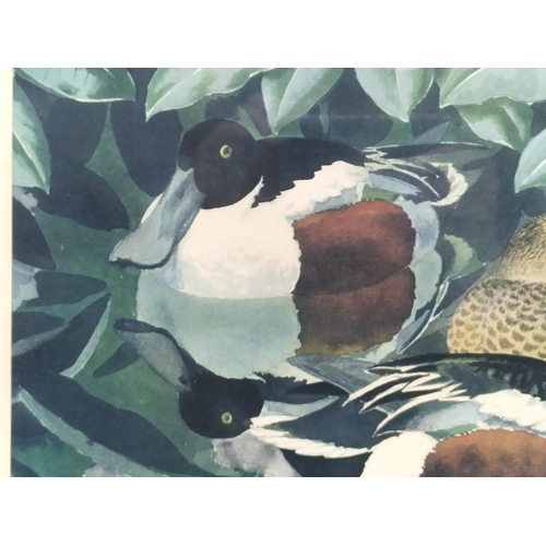 221 - 2 x Framed and Signed Prints by C.F Tunnicliffe. A Limited Edition 304/500 Print 'Shoreland Waders' ... 