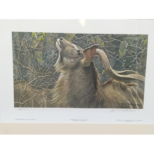 349 - Framed Limited Edition 846/950 Print by Robert Bateman 'Greater Kudo Bull'. Signed by the Artist. 54... 