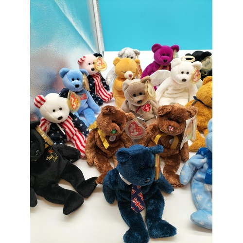 409 - Collection of TY Beanie Babies (1999-2000) with Tags and Protectors.