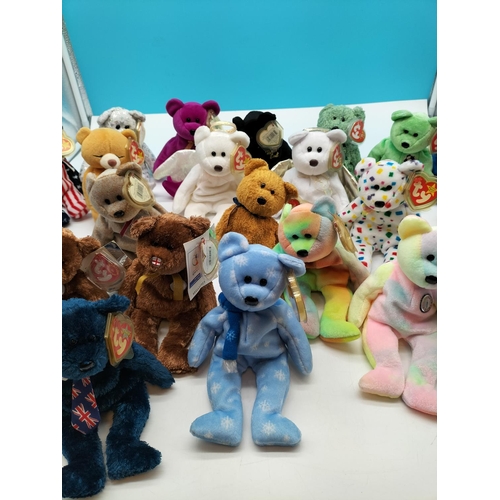 409 - Collection of TY Beanie Babies (1999-2000) with Tags and Protectors.