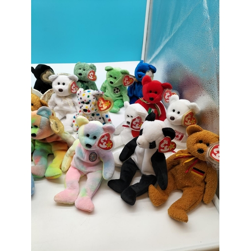 409 - Collection of TY Beanie Babies (1999-2000) with Tags and Protectors.