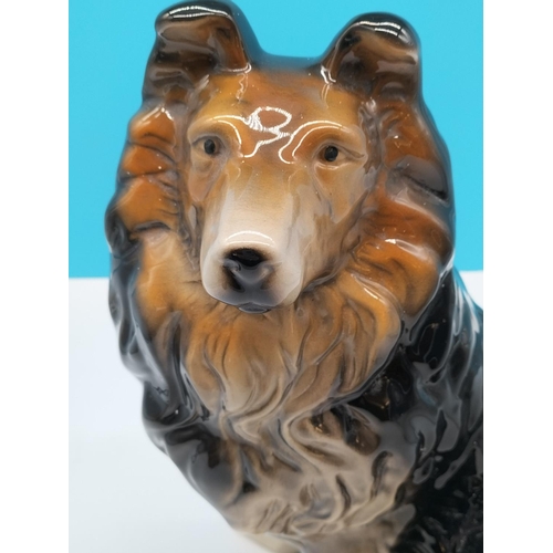 527 - Large 37cm (h) Fireside Long Haired Collie Dog Figure. 37cm High, 20cm x 33cm.