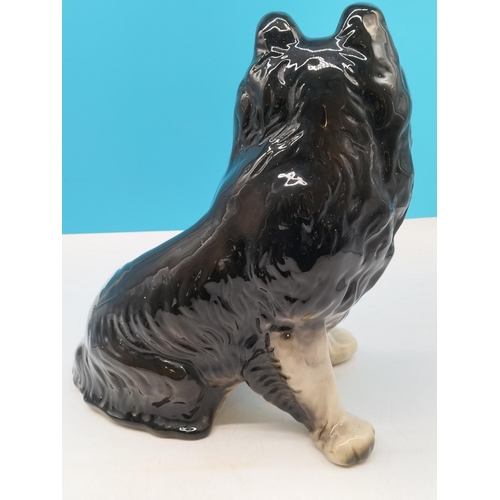 527 - Large 37cm (h) Fireside Long Haired Collie Dog Figure. 37cm High, 20cm x 33cm.