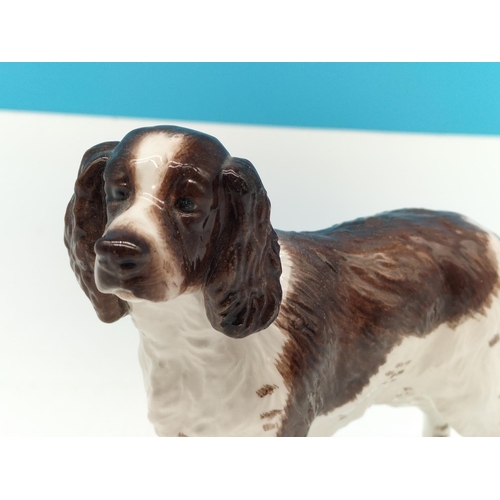 75 - John Beswick Springer Spaniel Figure. 13cm high, 15cm long.