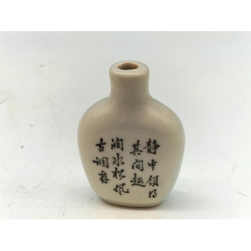 254 - Chinese Hand Painted Snuff Bottle.