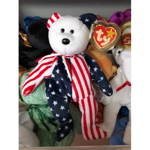 409 - Collection of TY Beanie Babies (1999-2000) with Tags and Protectors.