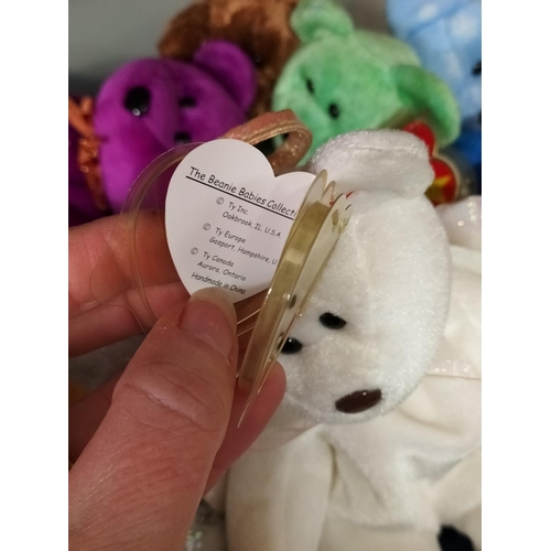 409 - Collection of TY Beanie Babies (1999-2000) with Tags and Protectors.