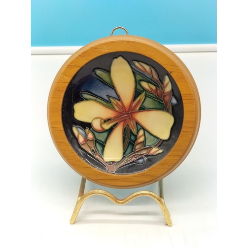 22 - Moorcroft 2004 Collectors Club Framed Pin Dish 'Panache'. 14cm Diameter.