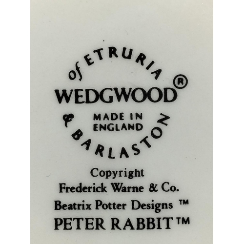 317 - Wedgwood Beatrix Potter 'Peter Rabbit' Large Bowl. 9.5cm High, 20.5cm Diameter.
