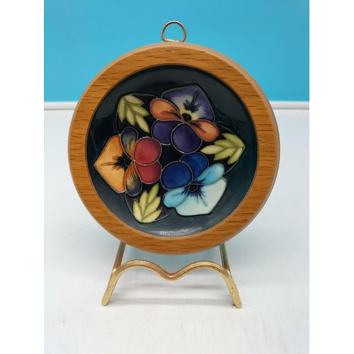 7 - Moorcroft 2005 Collectors Club Framed Pin Dish 'Triple Choice'. 14cm Diameter.