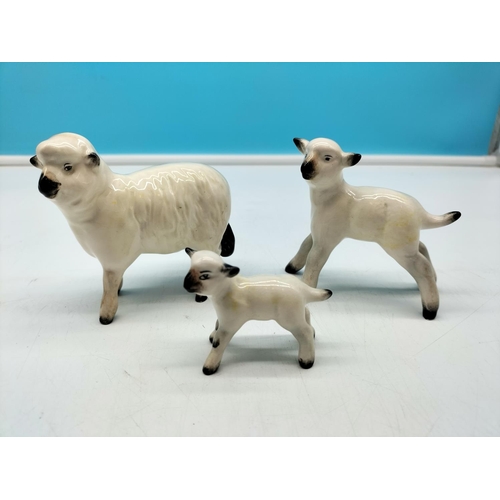 28 - Beswick Sheep and Lamb Figures. Largest 9cm x 9cm.