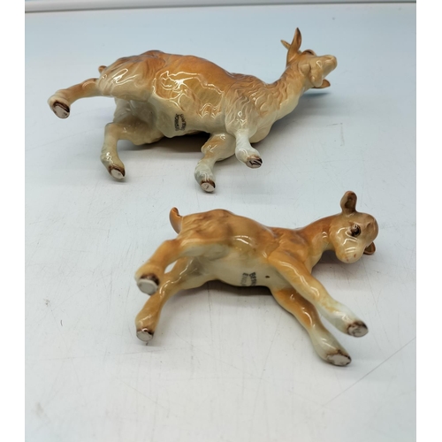 29 - Beswick Figures of a Goat and Kid. Slight Crazing to Glaze. Largest 15cm x 15cm.